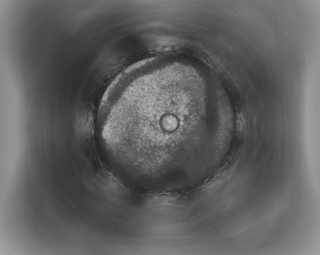 X0000112860820200908211319