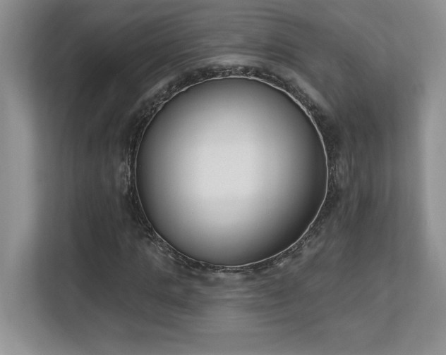 X0000112860821200908211319