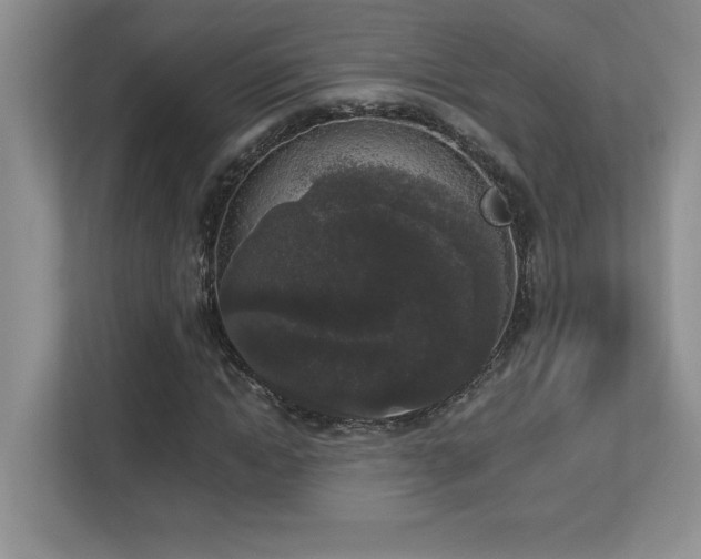 X0000112860822200908211319