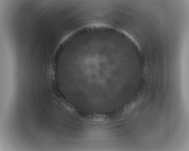 X0000112860823200908211319