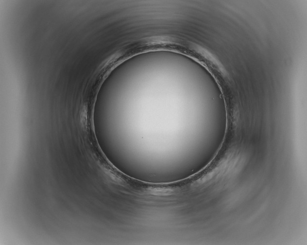 X0000112860825200908211319