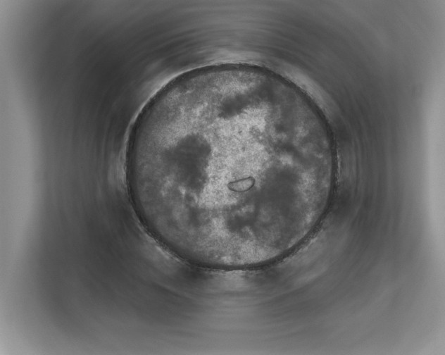 X0000112860828200908211319
