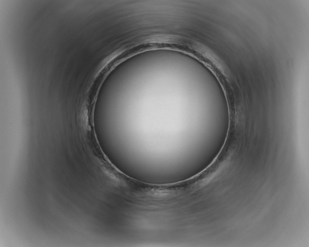 X0000112860829200908211319
