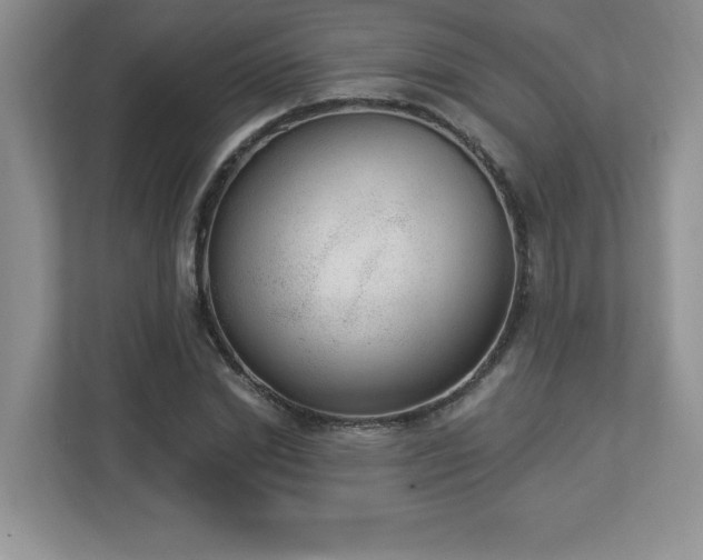 X0000112860830200908211319