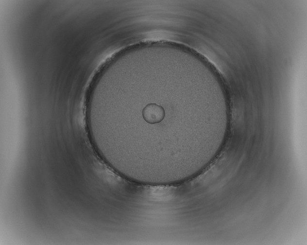 X0000112860832200908211319