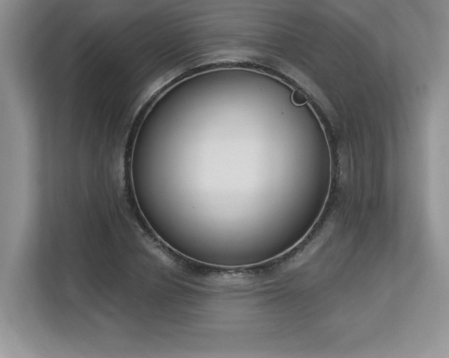 X0000112860834200908211319