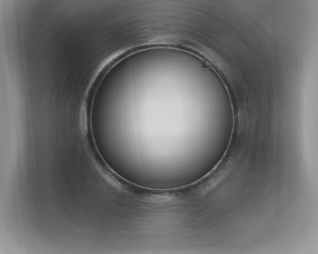 X0000112860838200908211319