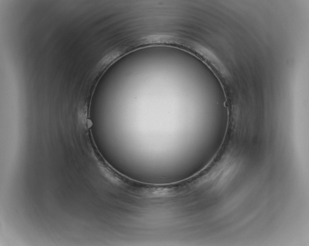 X0000112860841200908211319