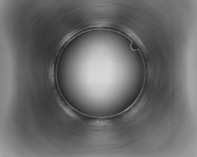 X0000112860842200908211319