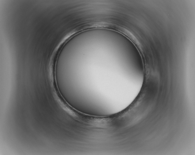 X0000112860843200908211319