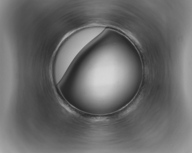 X0000112860846200908211319