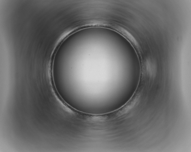 X0000112860847200908211319