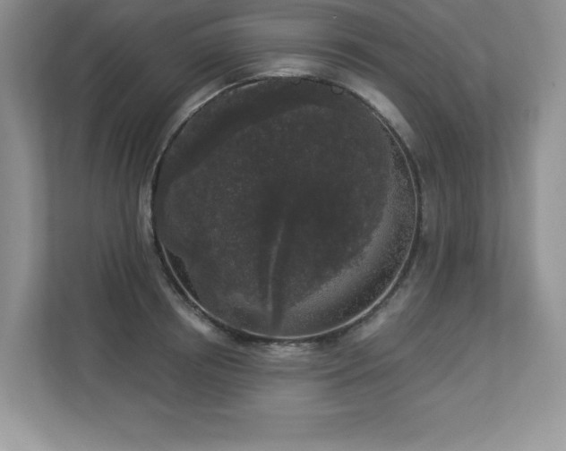 X0000112860850200908211319