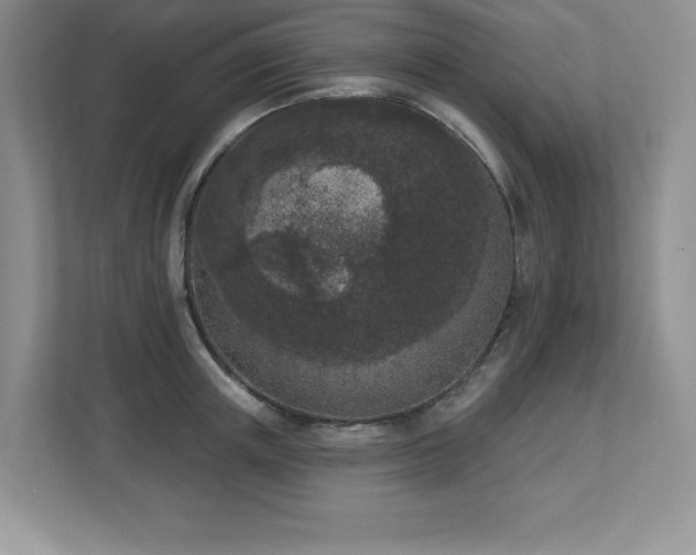 X0000112860851200908211319