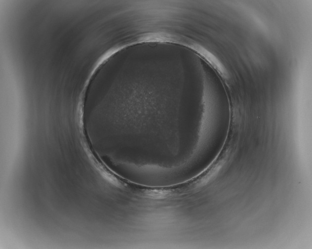 X0000112860854200908211319