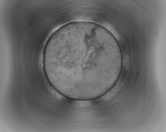 X0000112860856200908211319