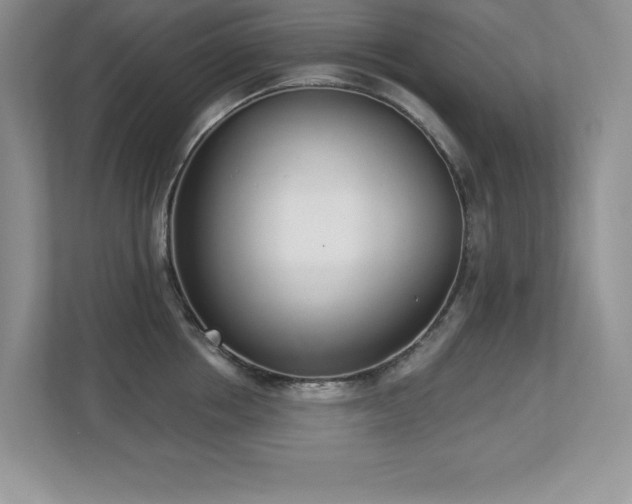 X0000112860858200908211319
