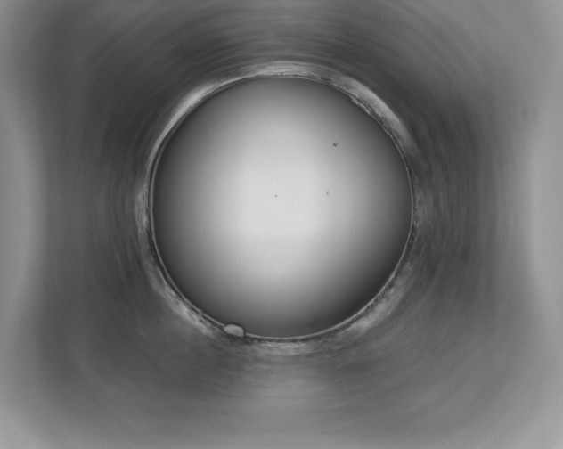 X0000112860860200908211319