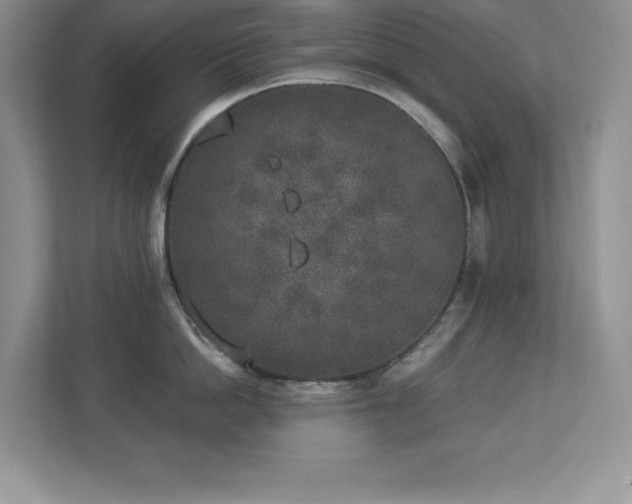 X0000112860862200908211319