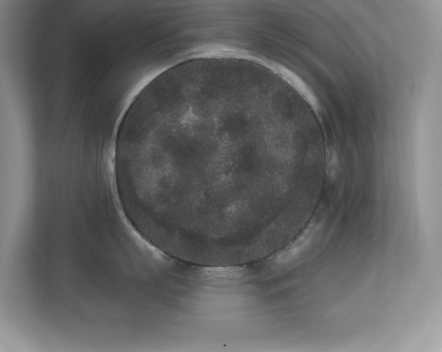 X0000112860863200908211319