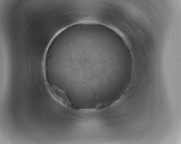 X0000112860864200908211319