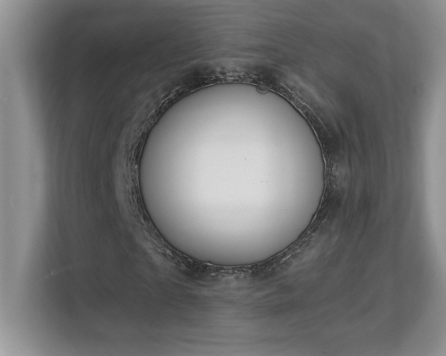 X0000112860865200908211319