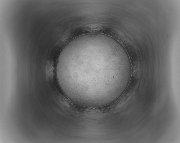 X0000112860866200908211319