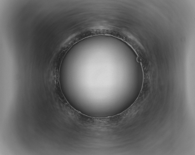 X0000112860870200908211319
