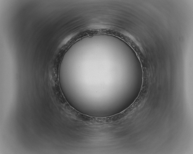 X0000112860871200908211319