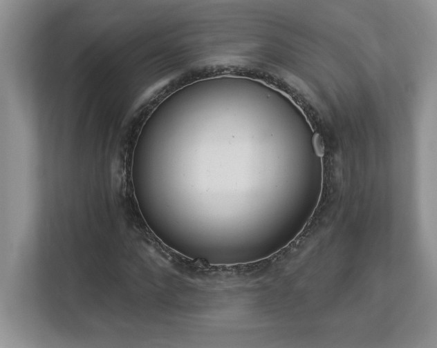 X0000112860872200908211319