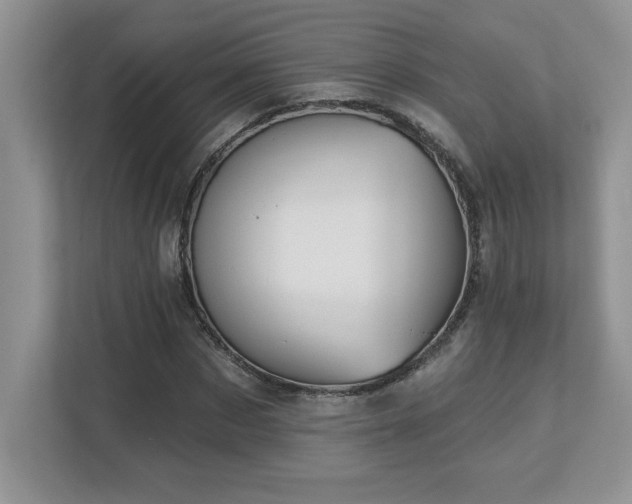 X0000112860873200908211319