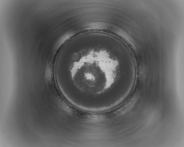 X0000112860874200908211319