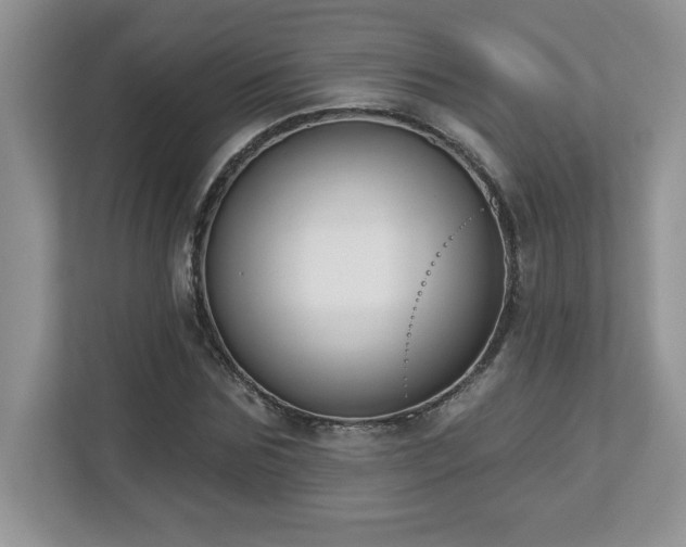 X0000112860875200908211319