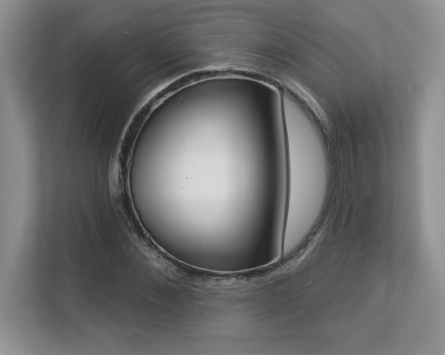 X0000112860876200908211319