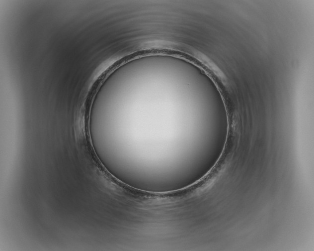 X0000112860877200908211319