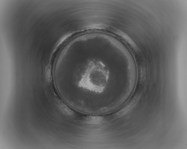 X0000112860878200908211319