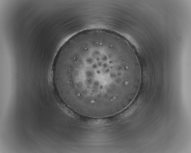 X0000112860879200908211319