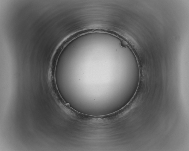 X0000112860880200908211319