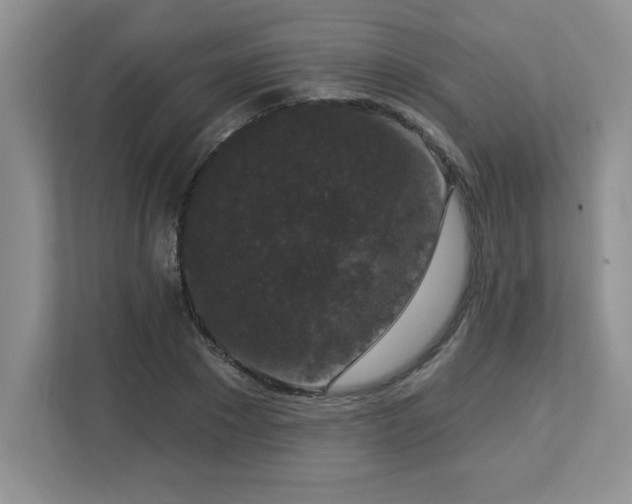 X0000112860881200908211319