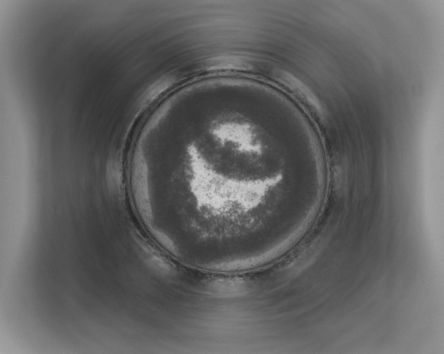 X0000112860882200908211319