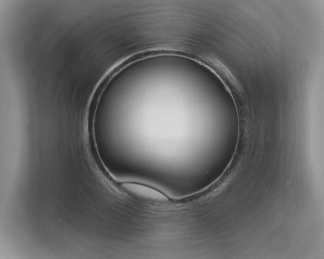 X0000112860884200908211319