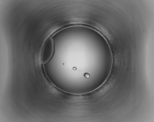X0000112860885200908211319