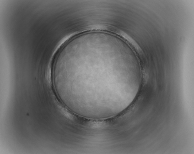 X0000112860886200908211319