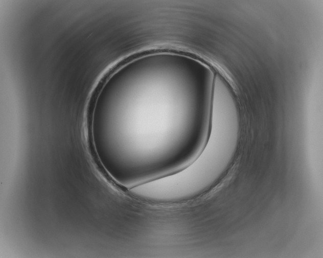 X0000112860888200908211318