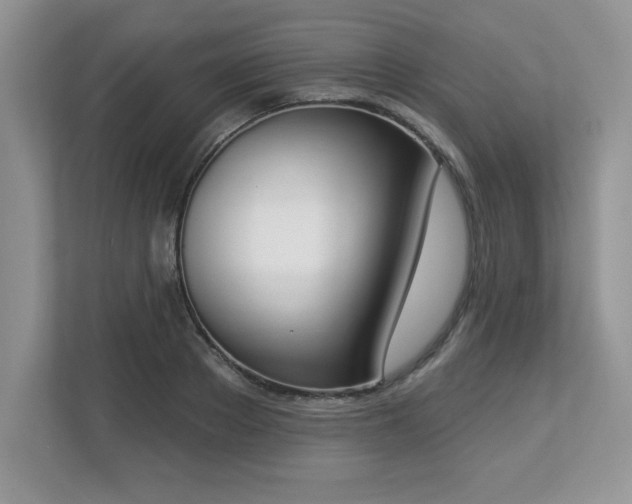 X0000112860889200908211318