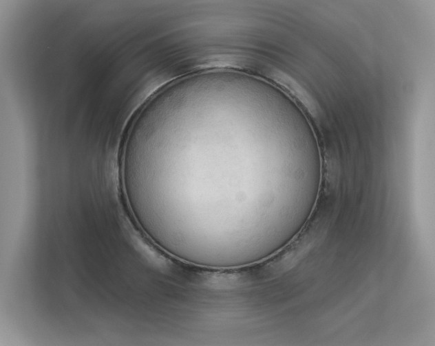 X0000112860890200908211318