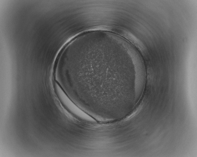X0000112860892200908211318