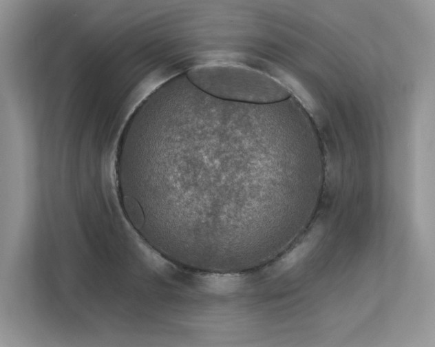 X0000112860893200908211318