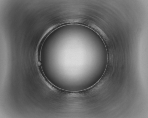 X0000112860894200908211318