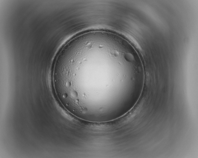 X0000112860895200908211318